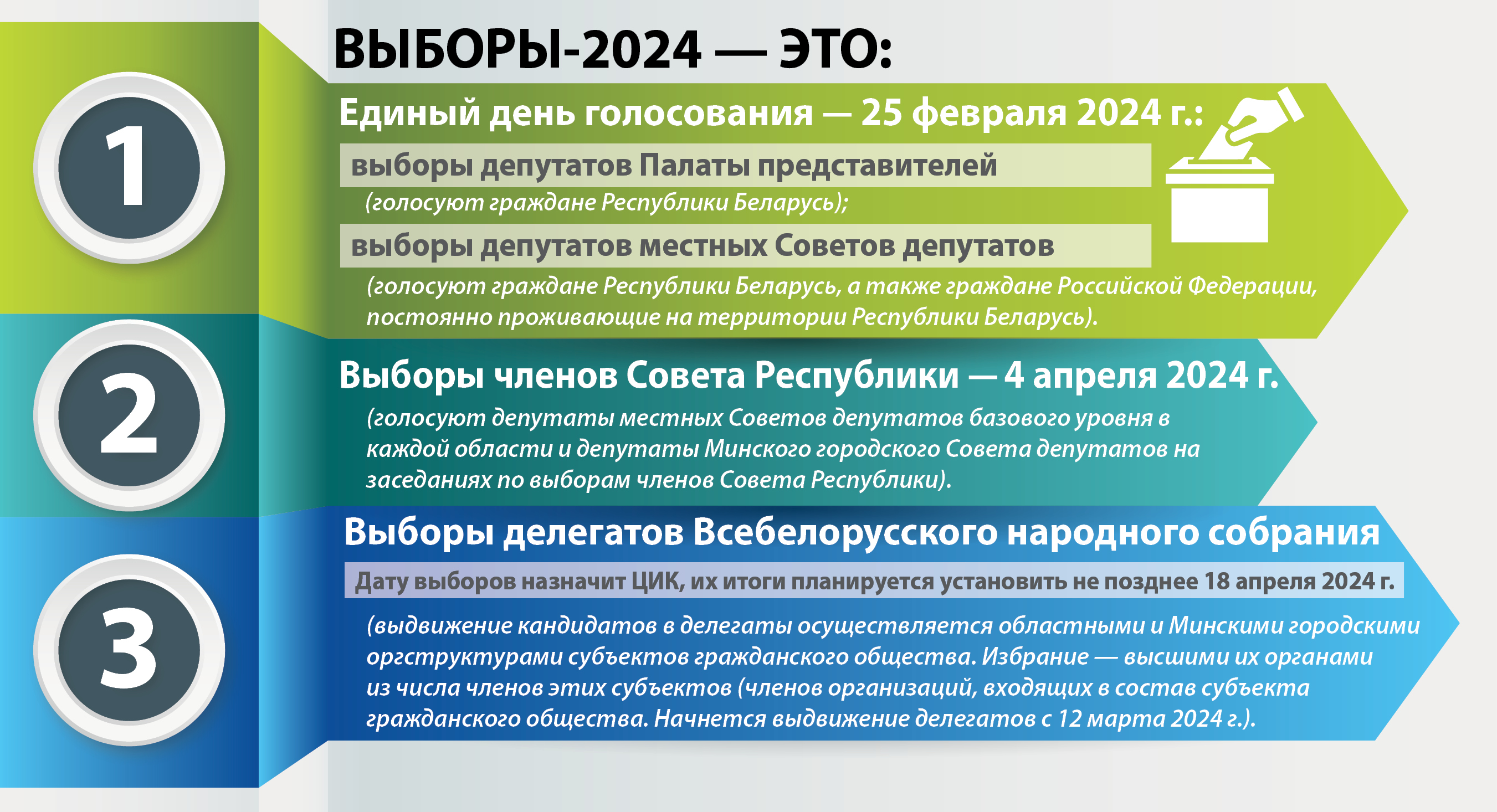 Выборы-2024